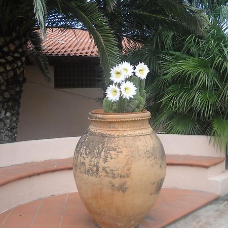 Hotel Villaggio Cala Di Volpe Capo Vaticano Dış mekan fotoğraf