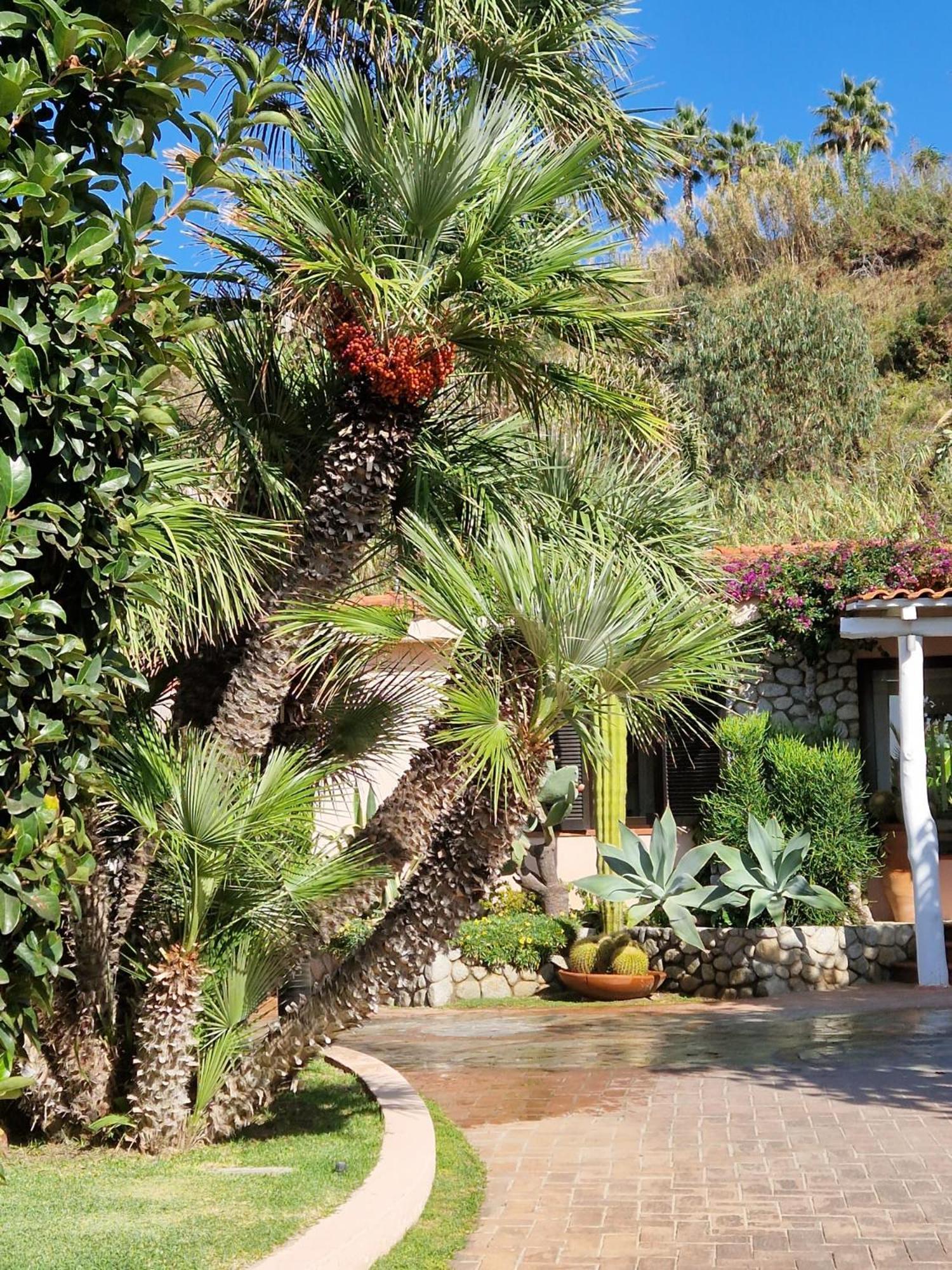 Hotel Villaggio Cala Di Volpe Capo Vaticano Dış mekan fotoğraf