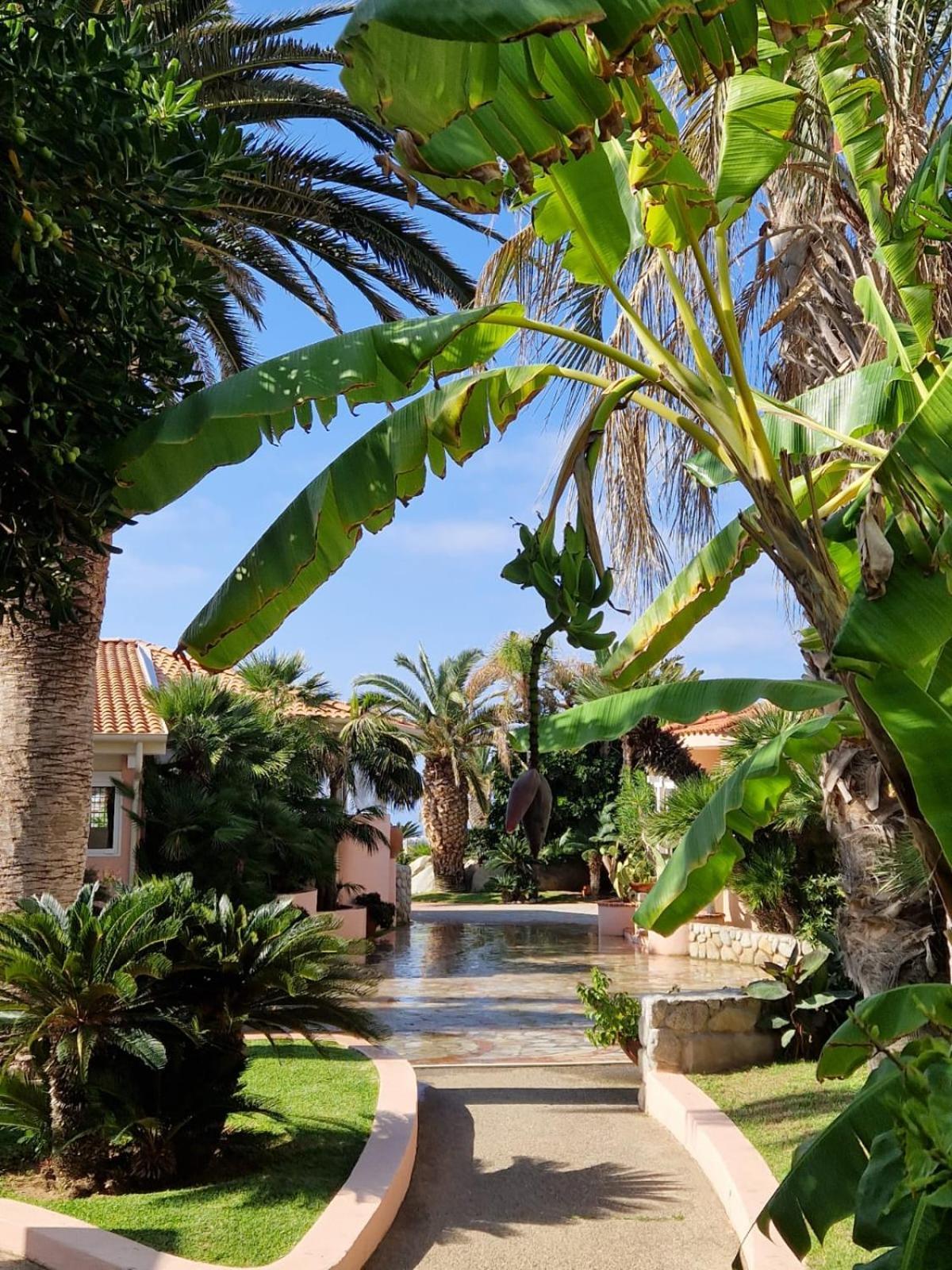 Hotel Villaggio Cala Di Volpe Capo Vaticano Dış mekan fotoğraf