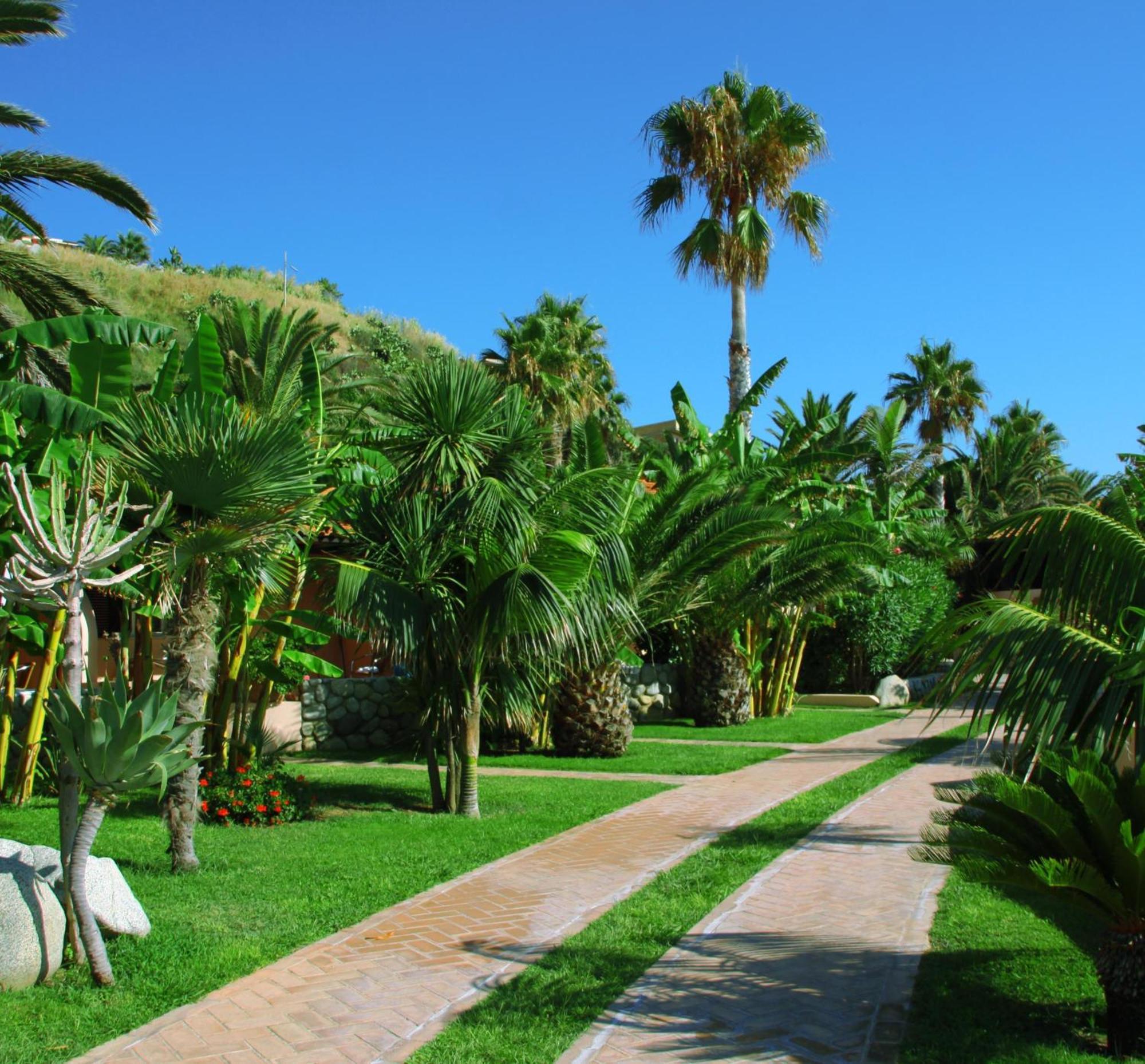 Hotel Villaggio Cala Di Volpe Capo Vaticano Dış mekan fotoğraf